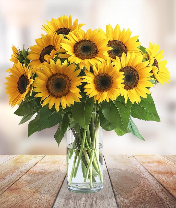 Подсолнухи радости